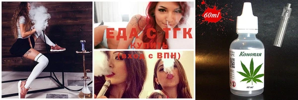 СК Новодвинск