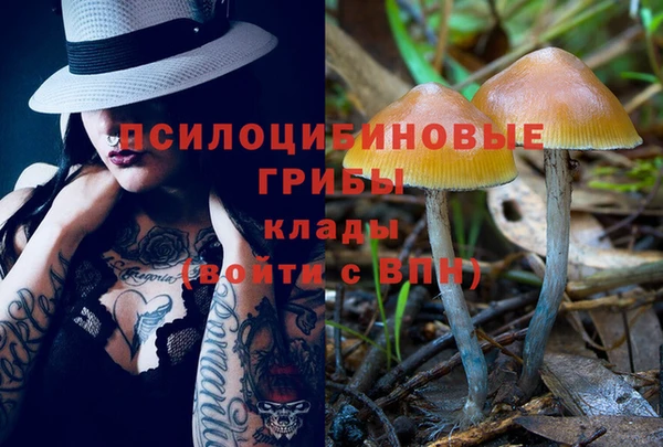 хмурый Абинск