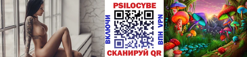 OMG ссылки  купить   Мурино  Псилоцибиновые грибы Psilocybe 